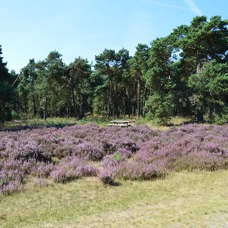 Chalet In With Fenced Garden