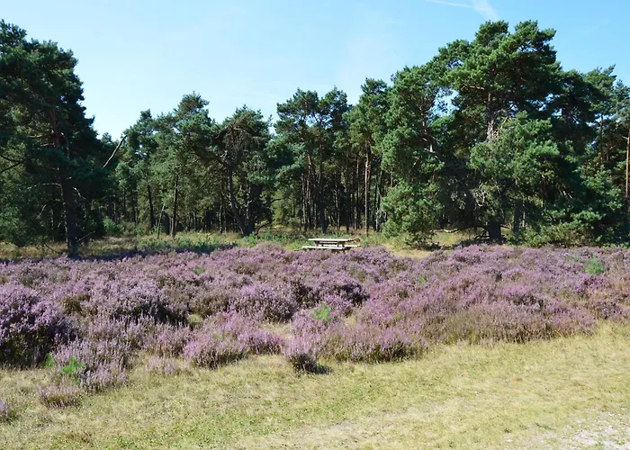 Chalet In With Fenced Garden